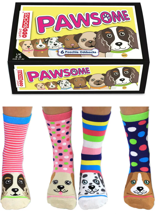 pawsome socks gift box