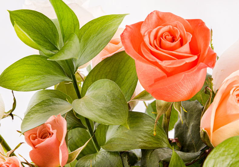 roses meaning - La Florela