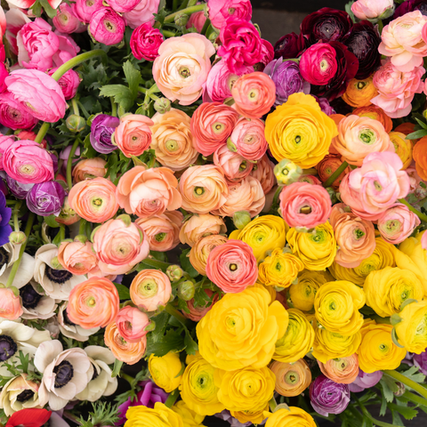 Delivering fresh Colombian flowers - La Florela