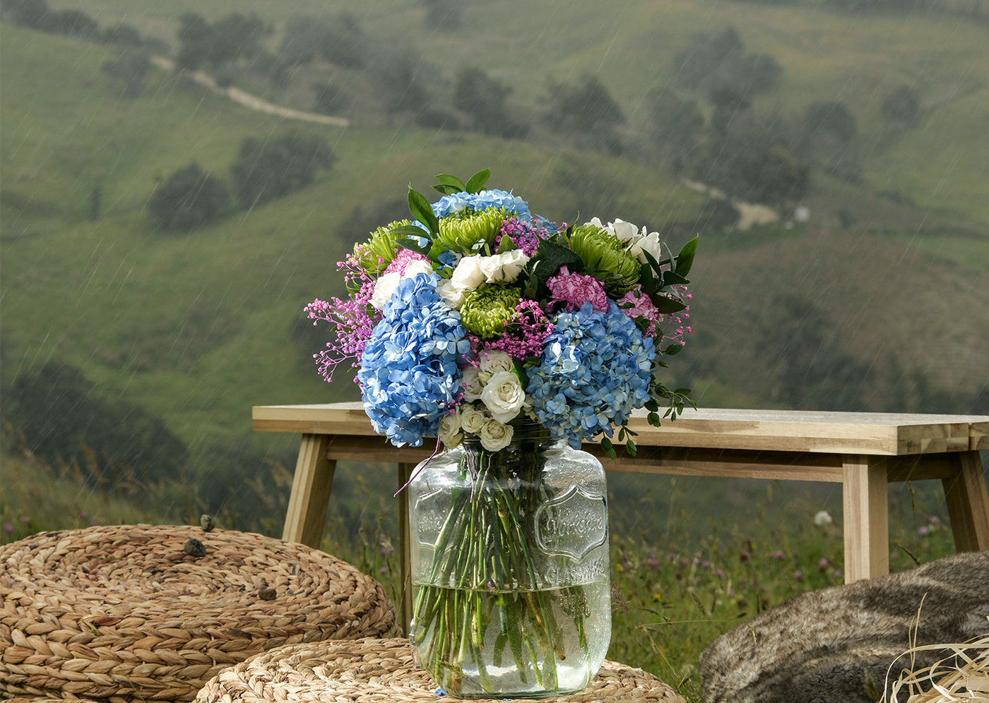 Colorful arrangements with hydrangeas Flowers - La Florela