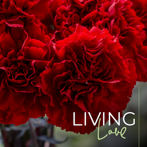 Living Love - La Florela