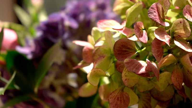 symbolic wedding - La Florela