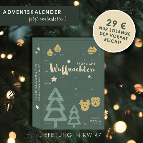 Adventskalender für Hunde - jetzt bestellen