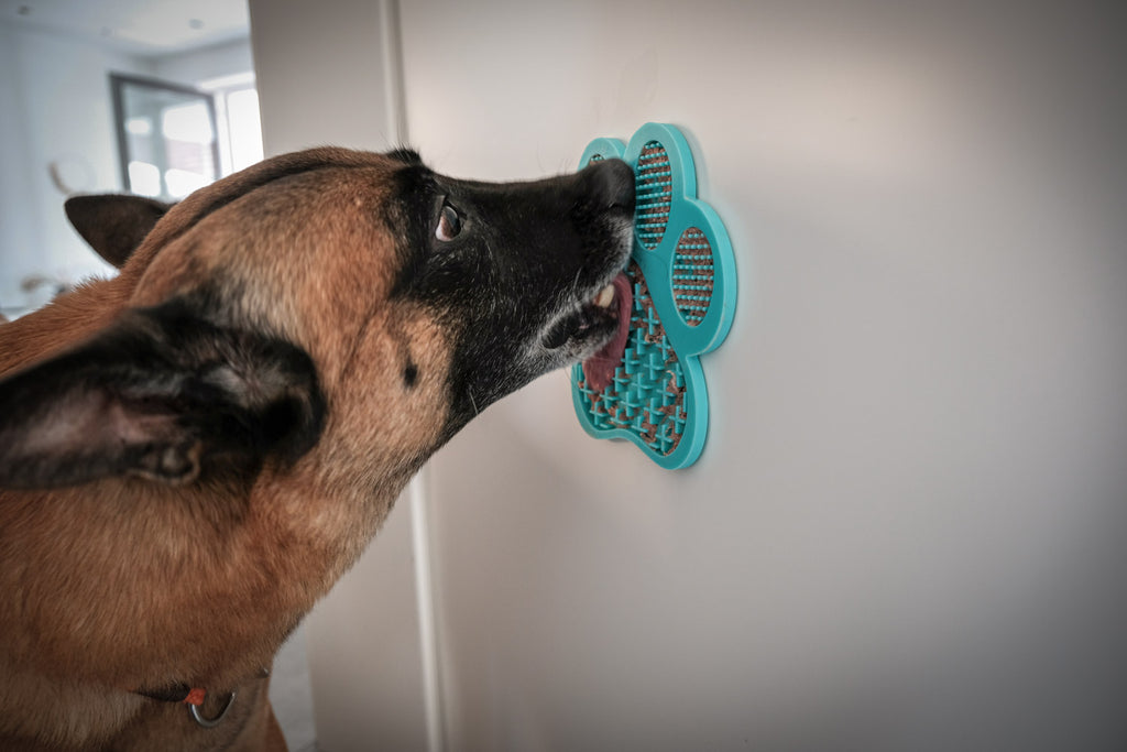 Schleckmatte mit Saugnäpfen für Hunde