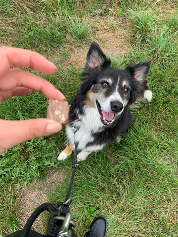 Gefriergetrocknete Hundekekse