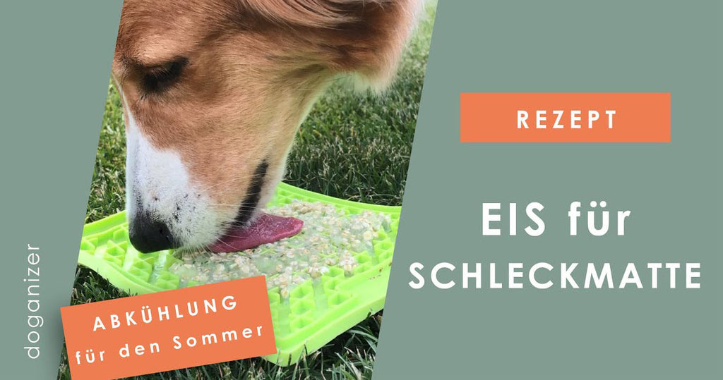 Schleckmatten Hunde