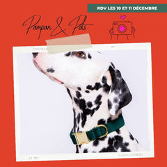 Pompon & Pets accessoires pour chien Made in France