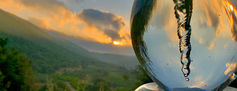 MAYU Swirl glass carafe letting nature in 