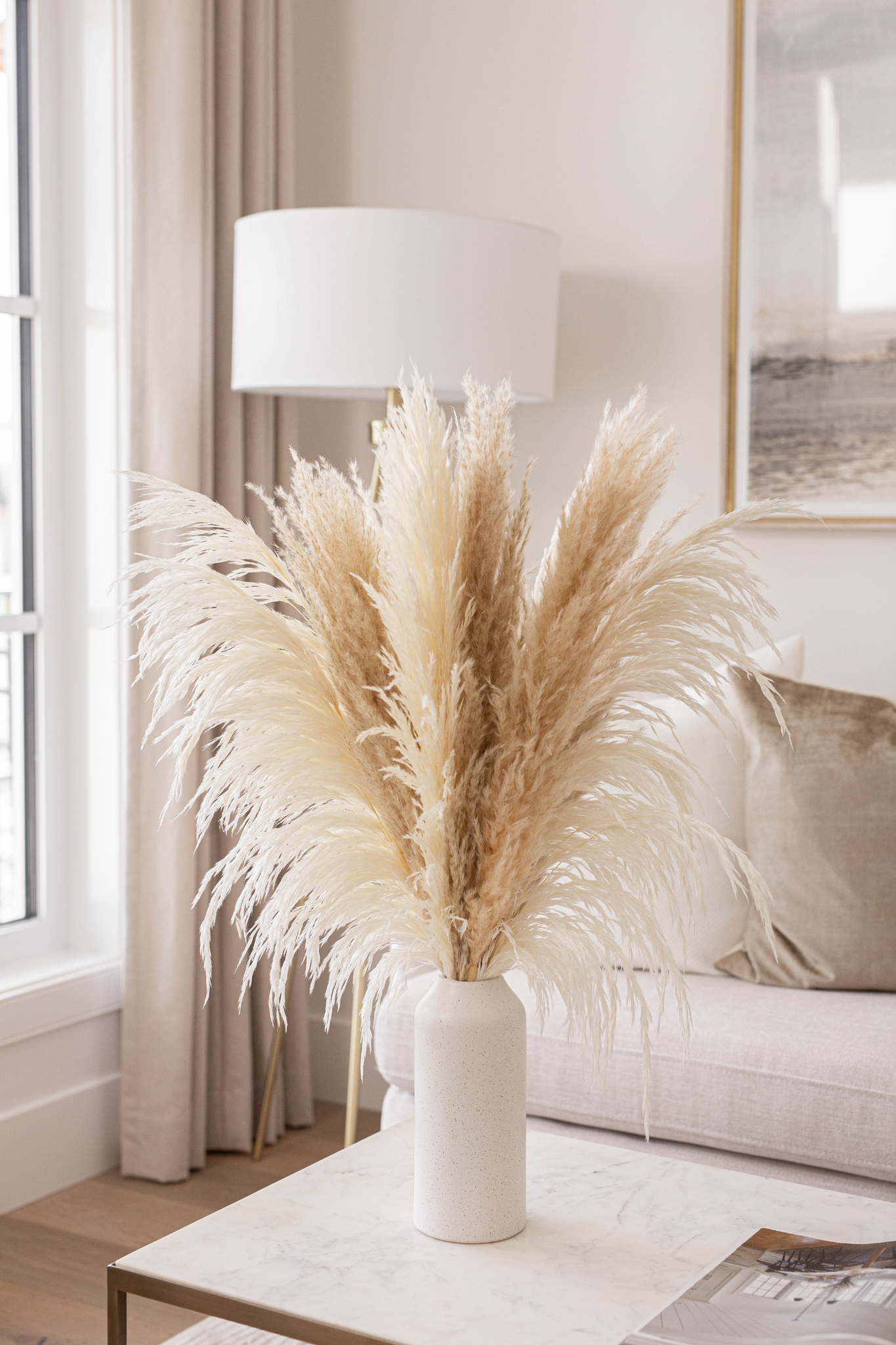 Our luxe b pampas grass luxe promo pack with a variety of natural pampas grass in one large arrangement