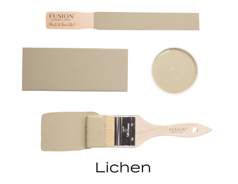 Lichen Fusion Mineral Paint