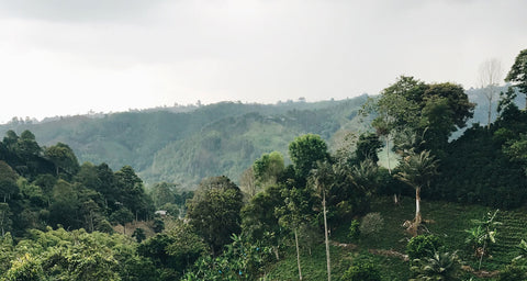 Région Esmeraldifère de Boyaca en Colombie