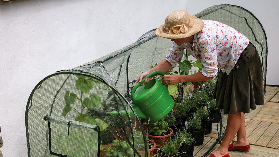 Grower Frame with Poly Cover