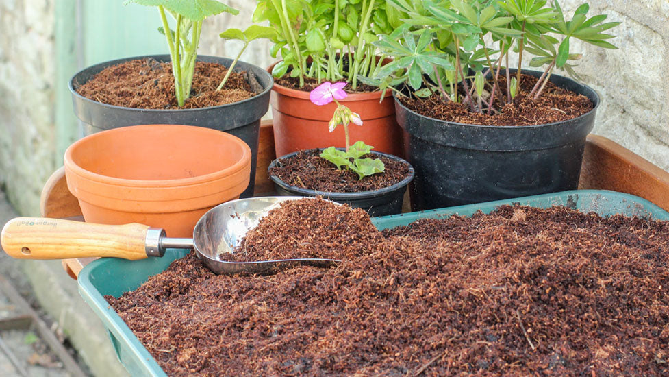 Coir Based Growlite