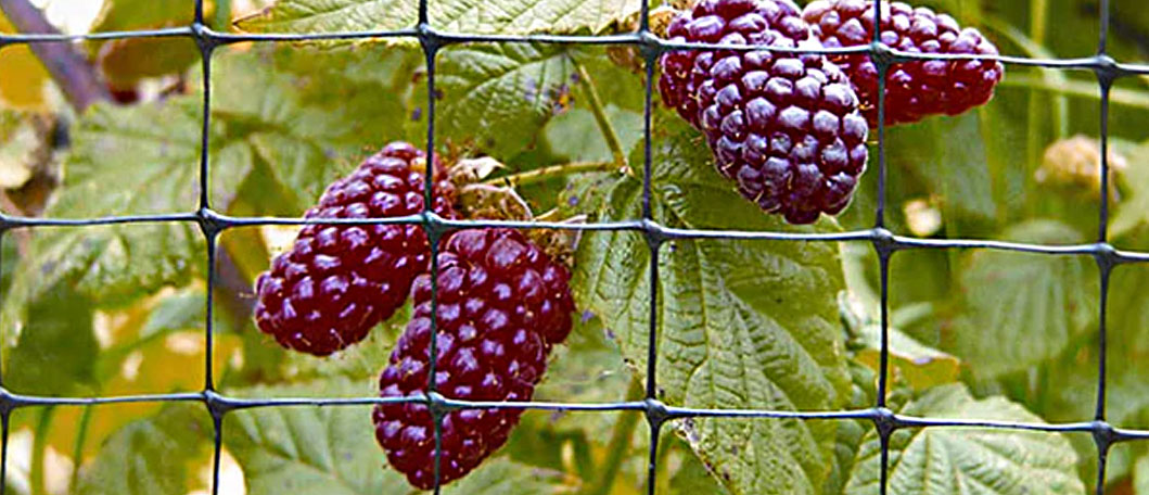 extruded netting