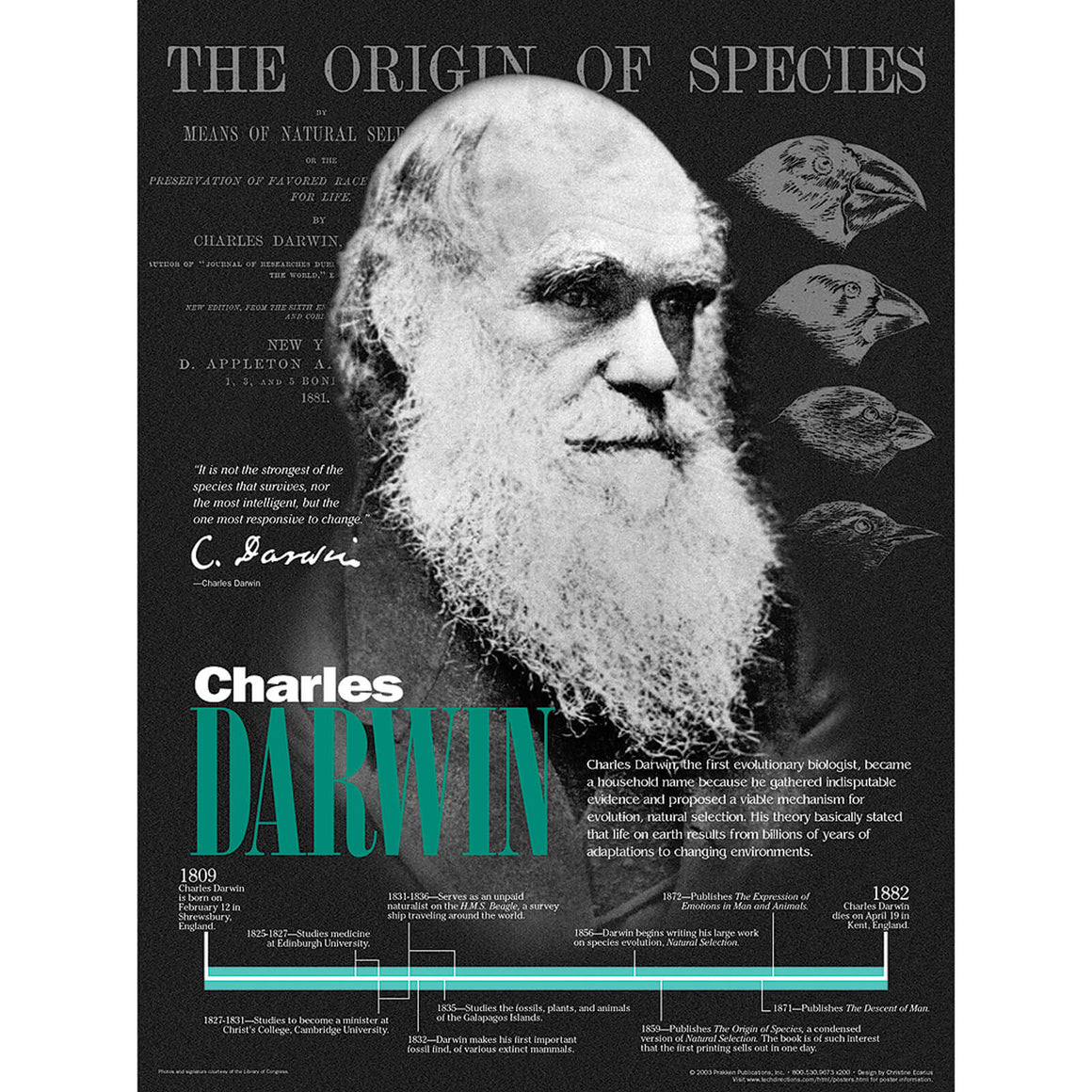 charles darwin biography poster