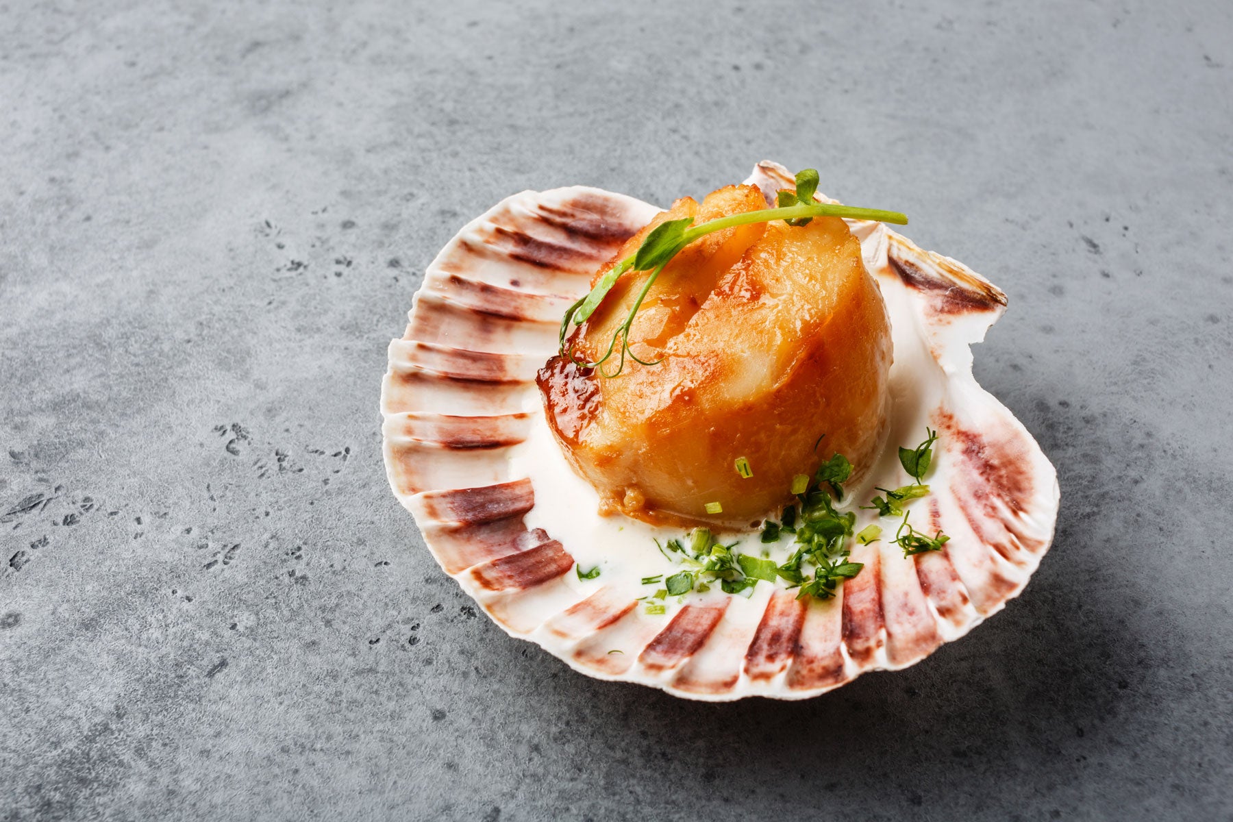 All You Need to Know About Scallop Sizing FishMe! Seafood Delivery