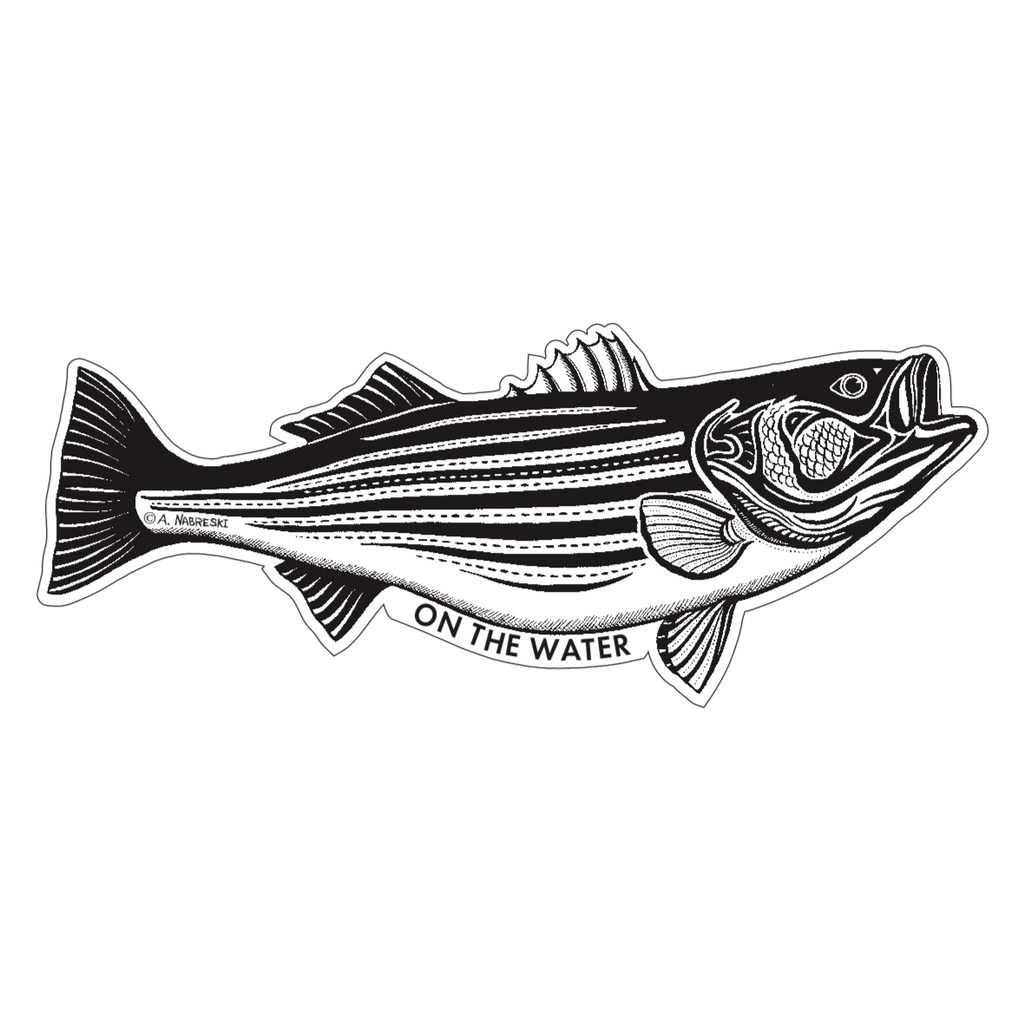Striper Sticker Decal fly fishing glossy weather proof Striped Bass 4 1/2  x 4