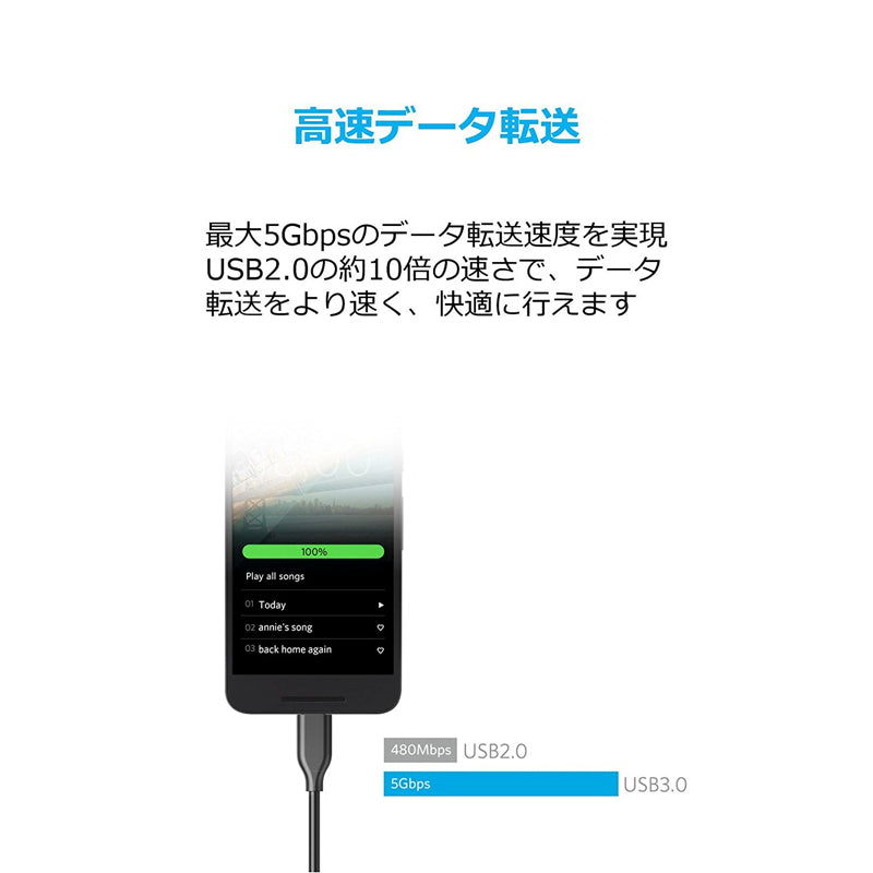 Anker PowerLine USB-C & USB-A ケーブル (USB3.0対応) 0.9m