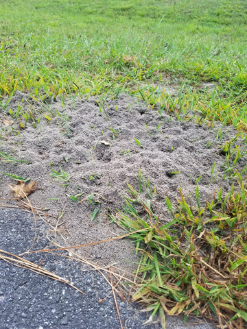 Fire Ants controlled by Greenbug 