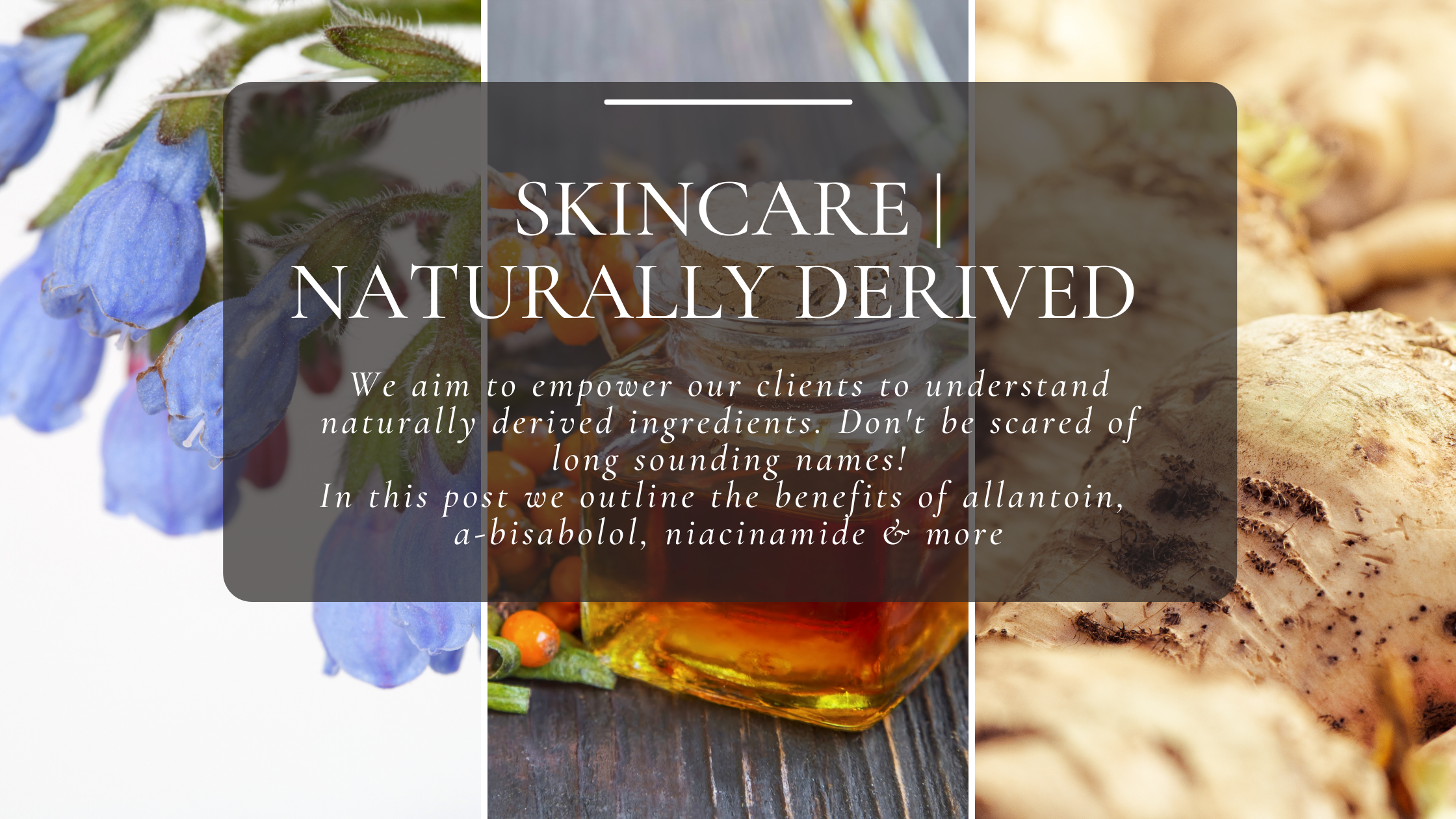 Image of sugar beet, seabuckthorn berries, and comfrey with text overlay empowering customers to understand natural skincare