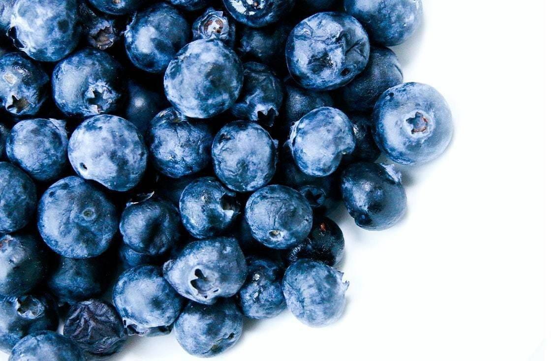 are fresh blueberries bad for dogs