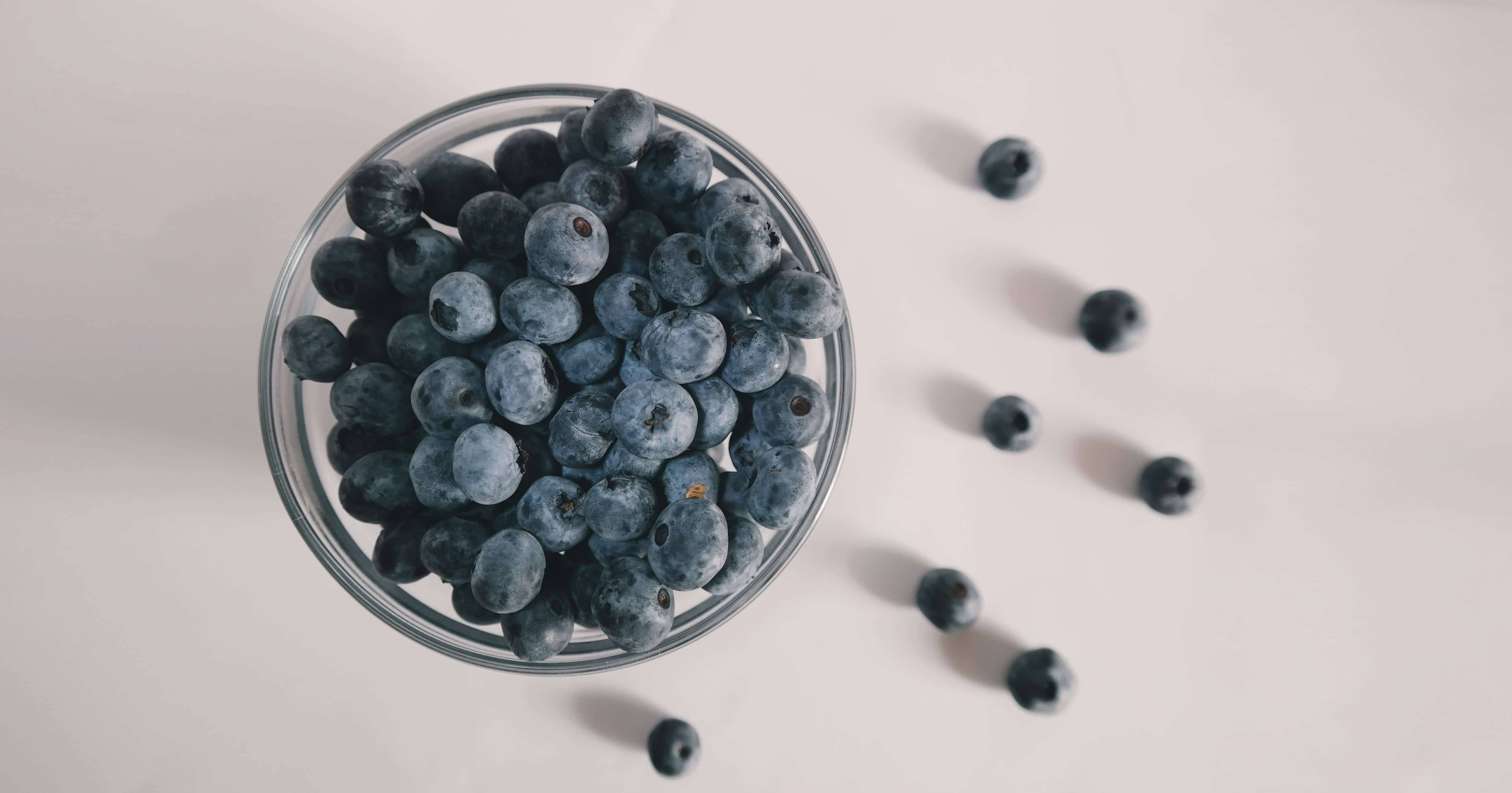 are fresh blueberries bad for dogs