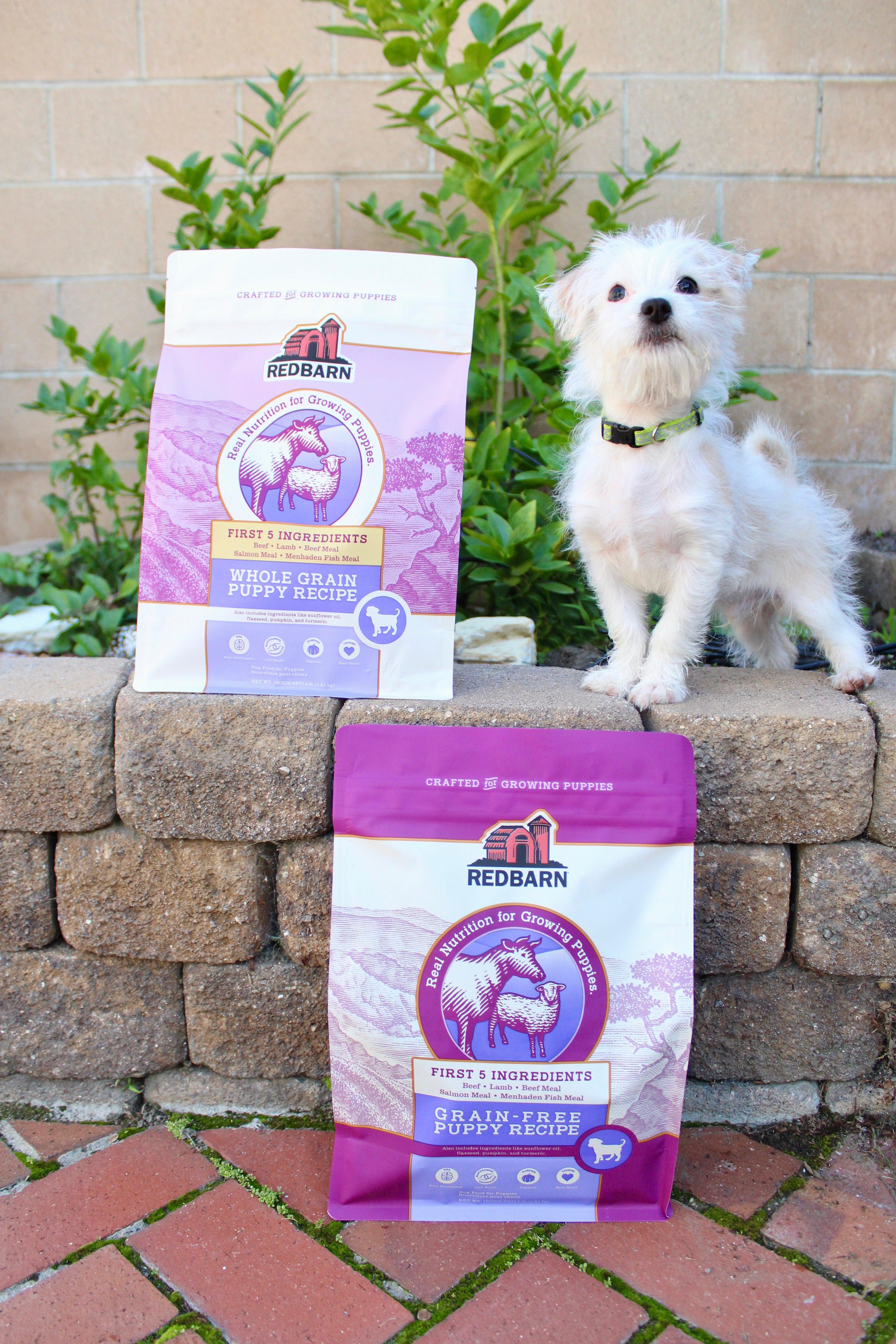 Grain-Free Puppy Recipe Dog Food Extra Information