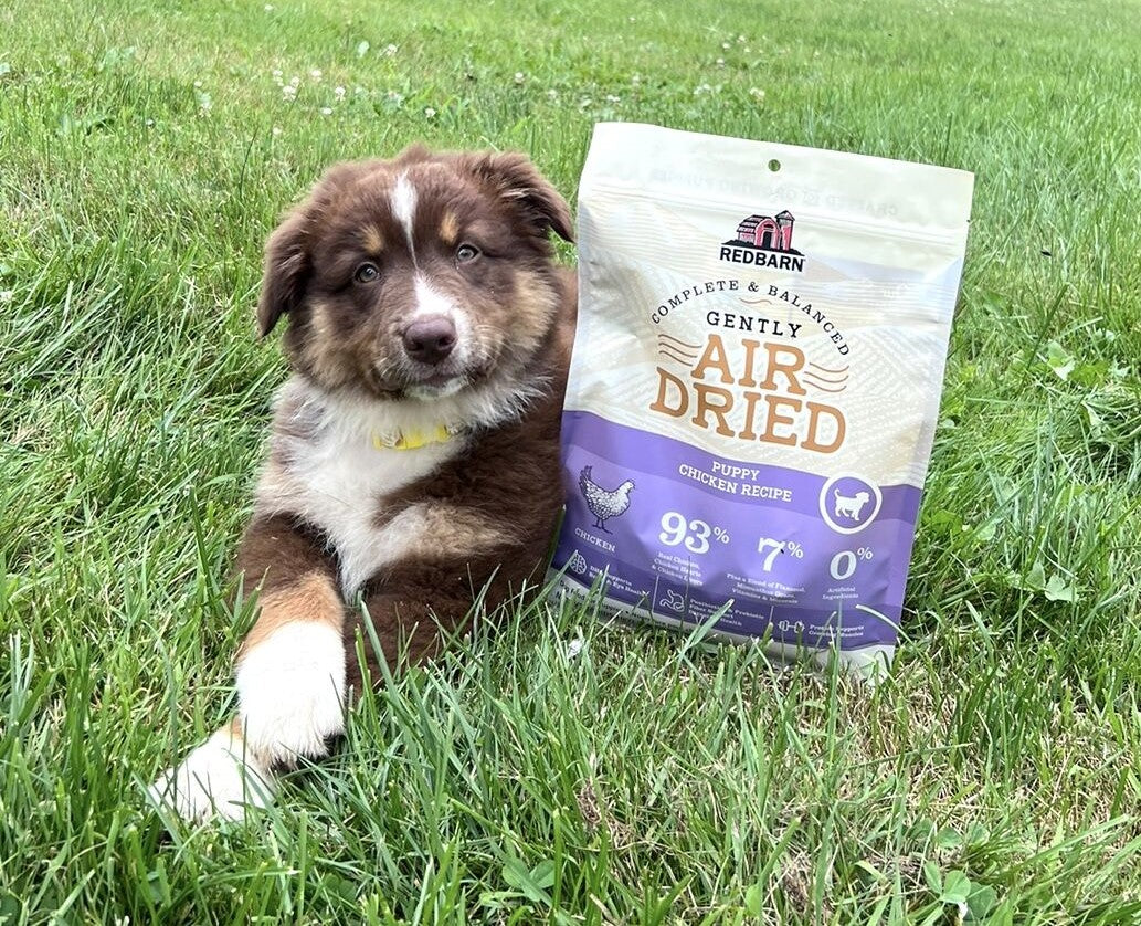 NEW! Air Dried Puppy Recipe Dog Food Extra Information