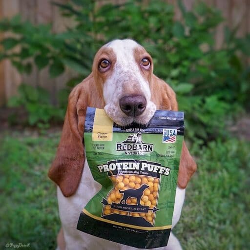 Redbarn Protein Puffs for Dogs