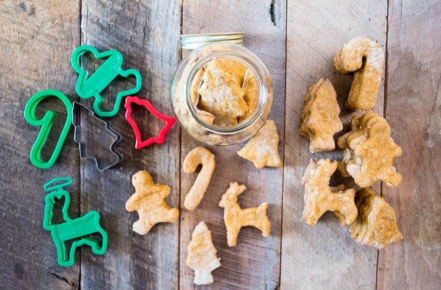 Homemade dog treats, shaped like reindeer, candy canes, and Christmas trees.