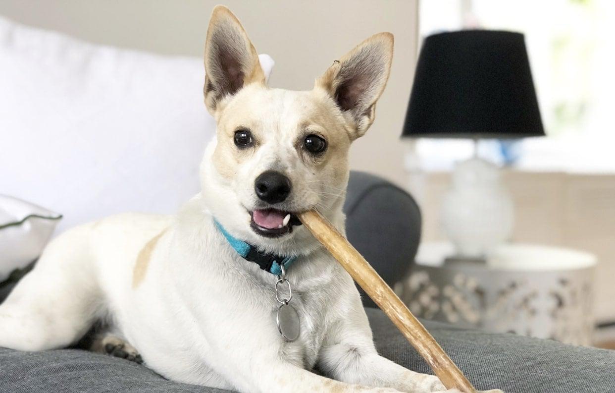 Odor-Free Bully Stick Extra Information