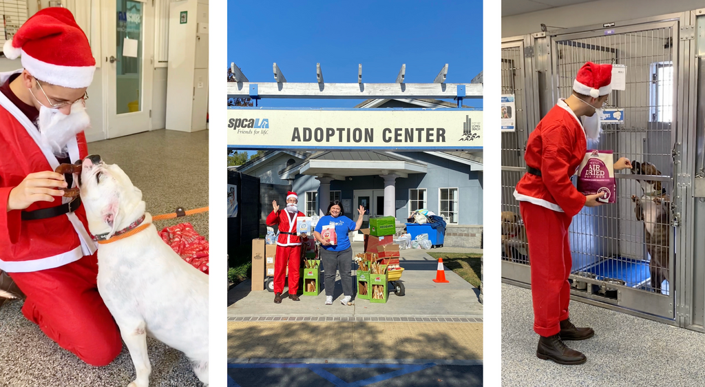 Collage of Santa Claus giving treats to shelter dogs