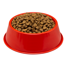 bowl of dog food