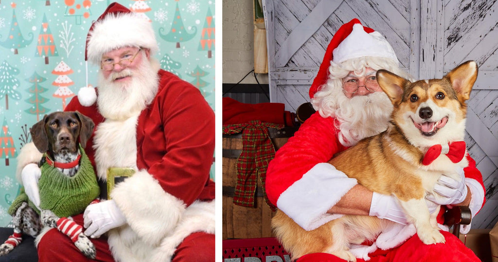 Pictures of dog sitting on Santa's lap