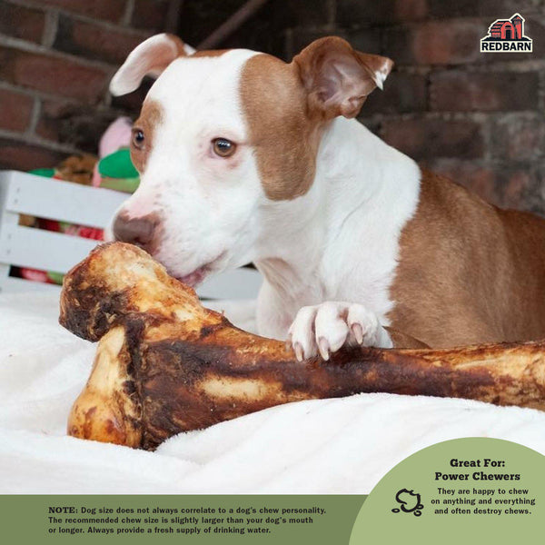 are mammoth bones safe for dogs