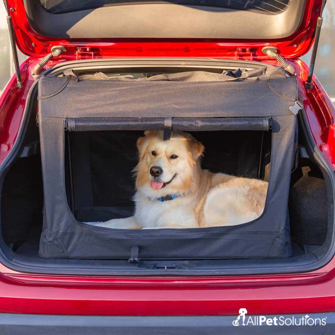 All Pet solutions Pet Carrier 