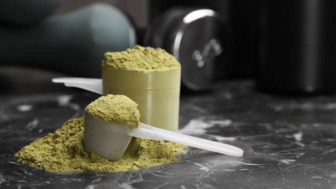 plant based protein powder