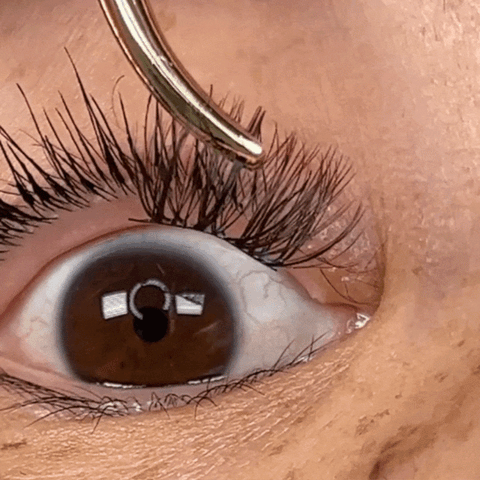 Apply cut lash ribbon pieces underneath your natural lashes