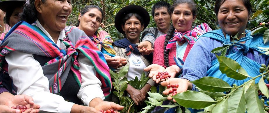 Grupo de productores de café de Comercio Justo de la CLAC, Perú