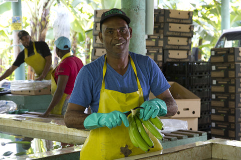 Productor de plátanos de Comercio Justo de la CLAC