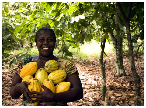 Productora de cacao africana sosteniendo frutos 