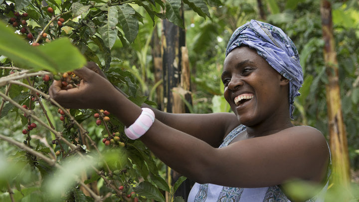 Agricultora café comercio Justo Uganda