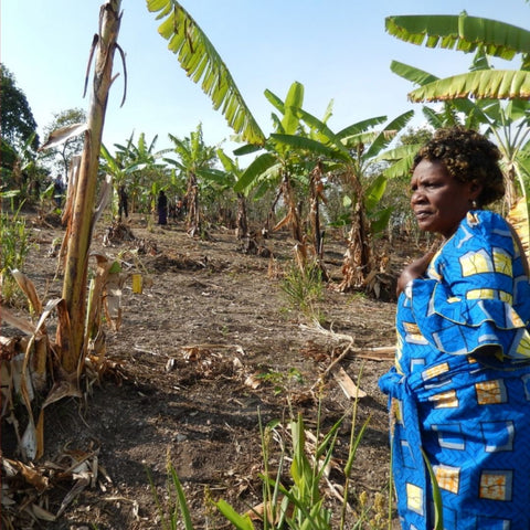 Agricultora africana ante su campo de cultivo