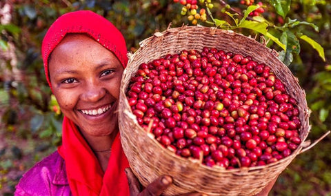 Productora de café de Comercio Justo 