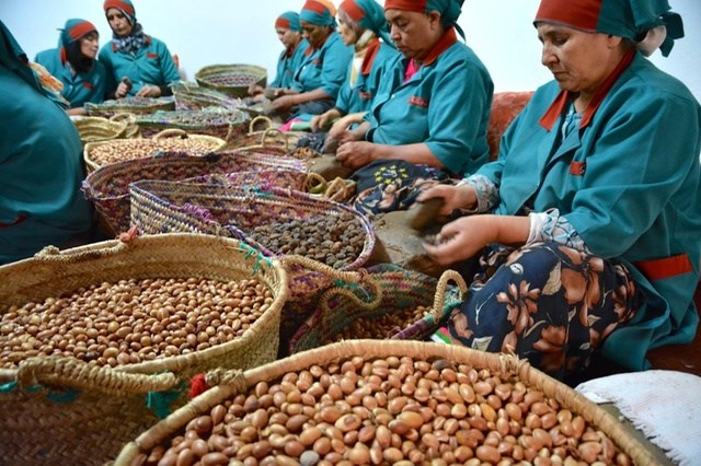 mujeres productoras de aceite de argán en Marruecos