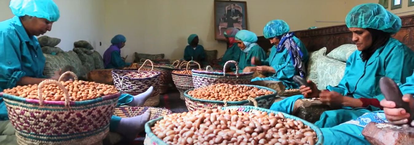 Mujeres productoras de aceite de argán en Targanine, cooperativa de Comercio Justo de Marruecos
