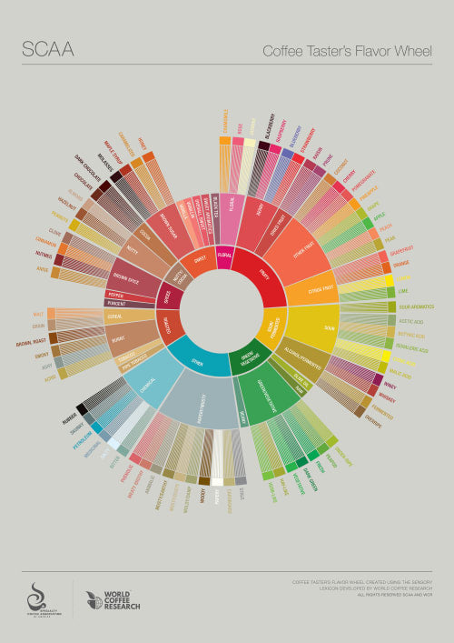 wheel displaying the many flavours found in coffee