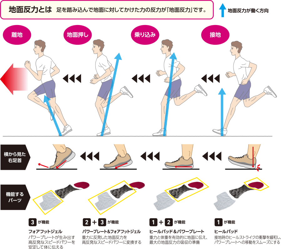 ランニングの接地と地面反力