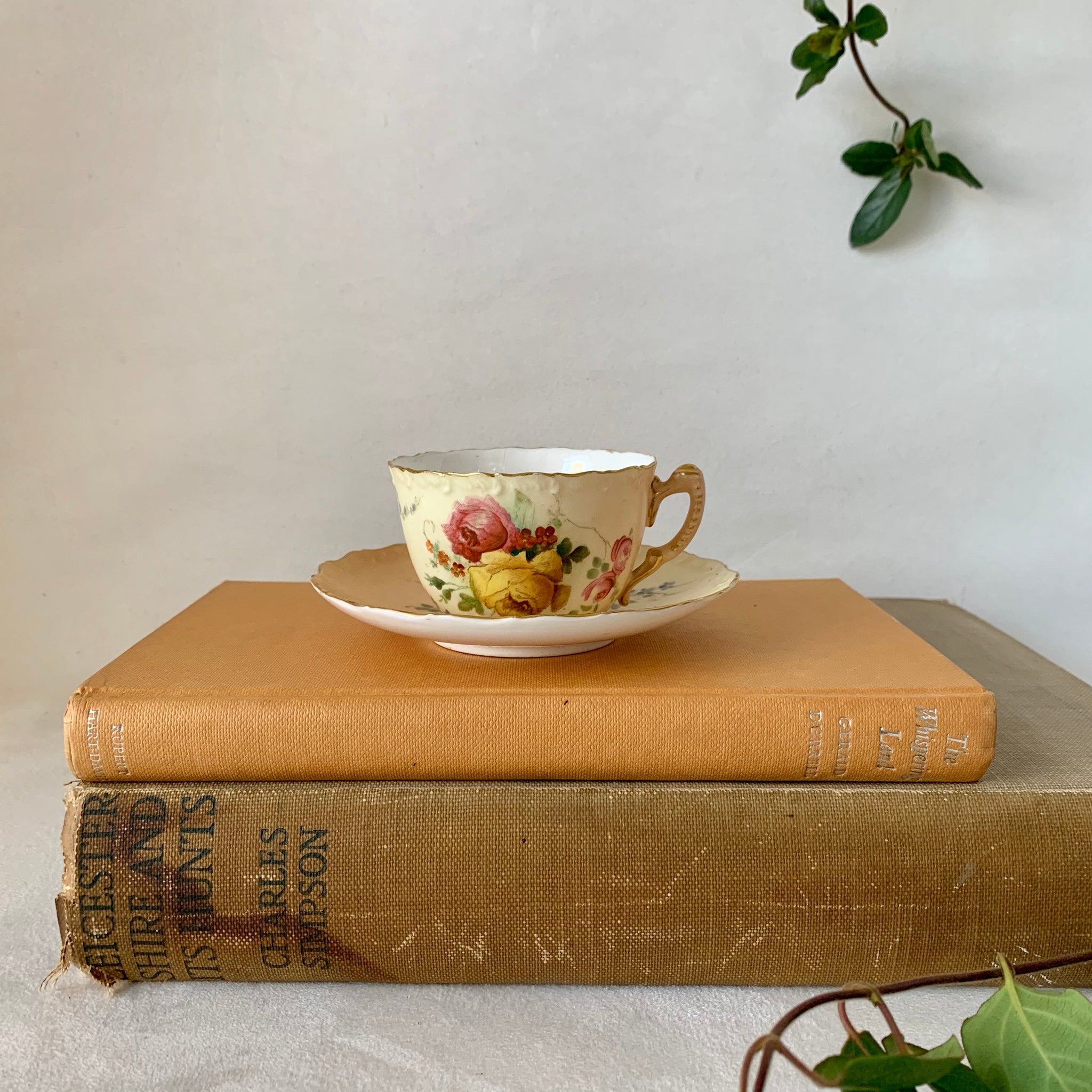 Royal Worcester cup and saucer – The Vintage Pieces