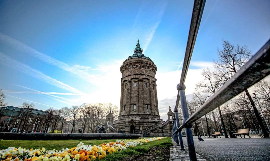 Tienda de proteínas Karlsruhe